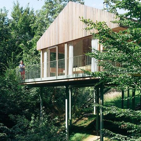 Apartamento Baumhaus Buchengruen Dobl-Zwaring Exterior foto
